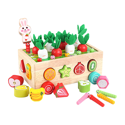 Wooden Motessori Toys